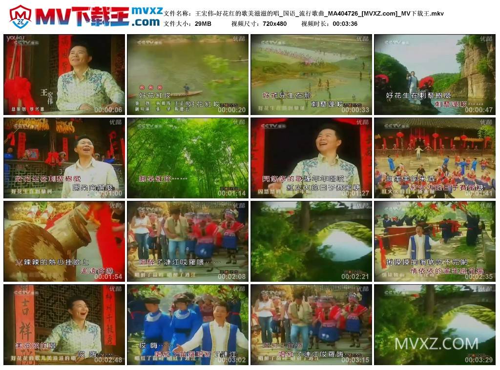 王宏伟-好花红的歌美滋滋的唱_国语_流行歌曲_MA404726